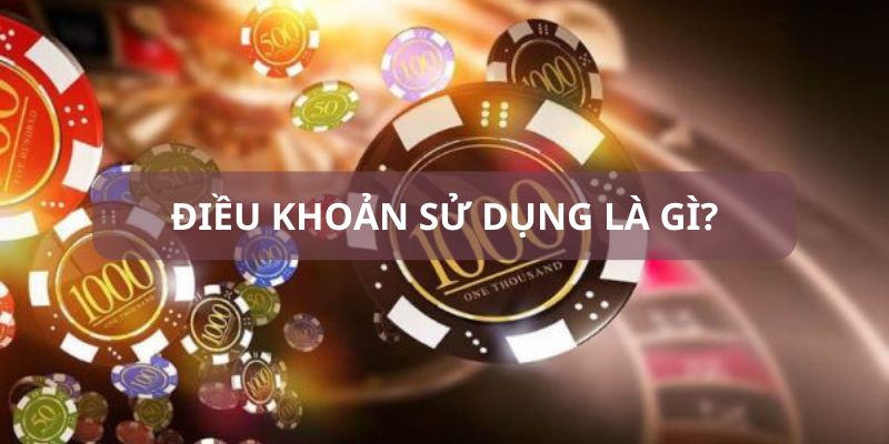 Hiểu được điều khoản sử dụng là gì